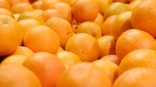 Colheita de laranjas amarelas na barraca do mercado de vegetais