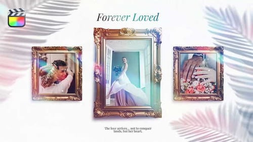 Galería de Wedding Golden Frame