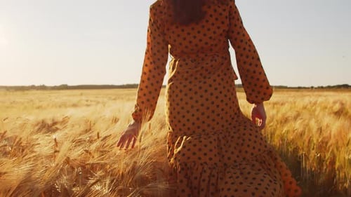 Pregnant woman in the rays of the sunset in the field