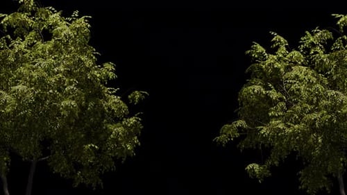 Grüne Bäume mit Alphakanal