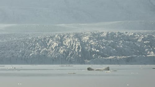 Riesiger sonnenbeschienener Gletscher und Küste