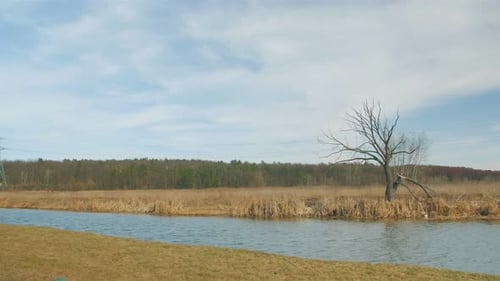 River Dry Tree Landscape