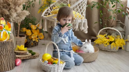 Schönes kleines Mädchen spielt mit einem lebenden Hasen und bunten Ostereiern