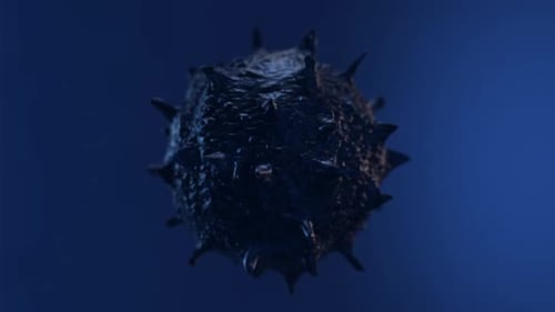 Coronavirus bacteriano