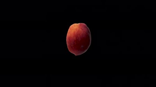 Half Peach with Bone Inside Rotate or Spin on Black Background. Great Isolated Fruit To Maintain