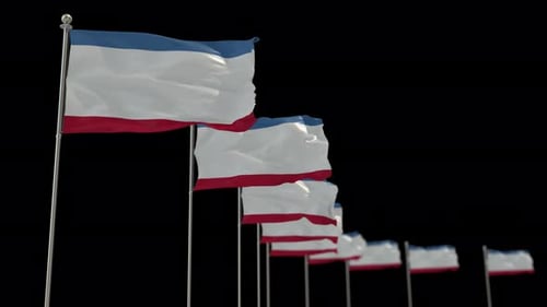 Multiple Realistic Flags Waving with Blue White Red Stripes