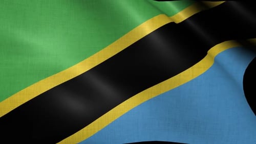 Realistic Waving Tanzania Flag for National Representation