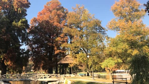 Morning sunlight over pond in Craiova 3840X2160 UltraHD footage - Colorful autumn in the Romanian