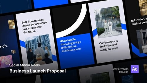Reels - Business Launch Proposal