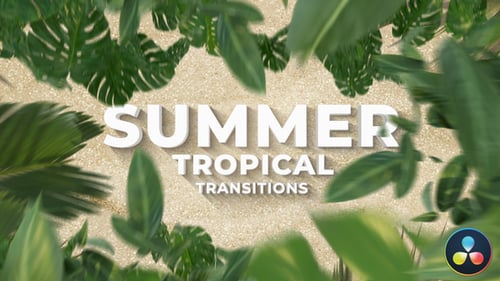 Viajes de verano | Transiciones a hojas de palma tropicales | Davinci Resolve