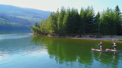 Couple on stand up paddle board oaring in river