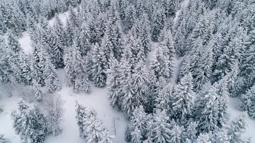 Aerial View Of Winter Landscape
