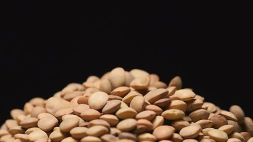 Tan Lentils Falling onto a Lentil Heap