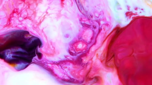 Abstract Colorful Invert Sacral Paint Exploding Texture 477