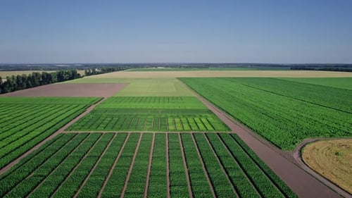 Bauernhof mit ländlicher Landschaft