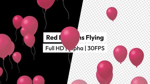 Floating Pink Balloons Loop with Alpha Channel