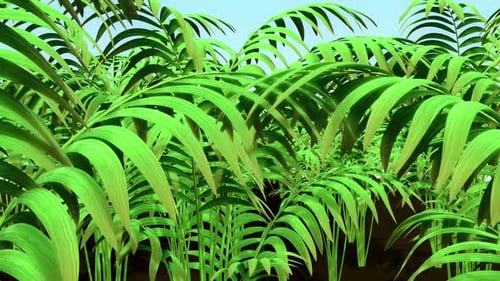 Animated Tropical Green Palm Leaves Background