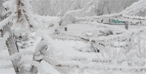 Winter 12