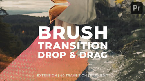 Brush Transitions