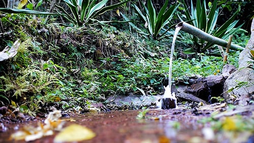 Bambus-Wasserspiel 03