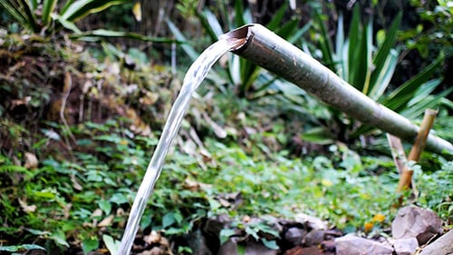 Água de bambu Feature 02