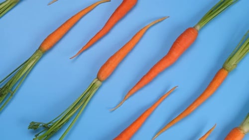 Rotierende junge Karotte auf blauem Hintergrund Healthy Food Concept Loop Trendiger