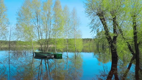 Boats Moored Near Trees That Standing In Water During Spring Flood Floodwaters
