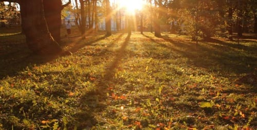 Sonnenuntergang in einem Park im Herbst - 01