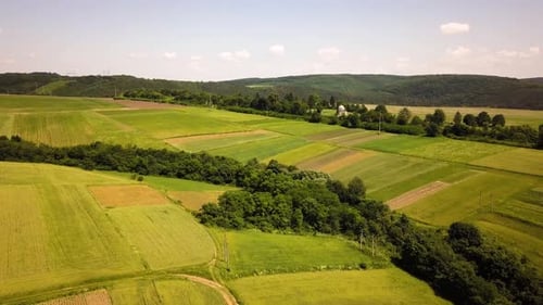 Aerial view of green agriculture fields in spring with fresh vegetation after seeding season.