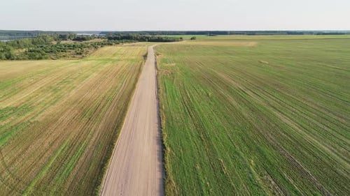 Agricultural Fields, Countryside. A Dirt Rural Road Running Through Green Fields.