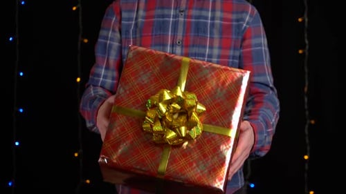 Torso holding a Christmas present in front of lights