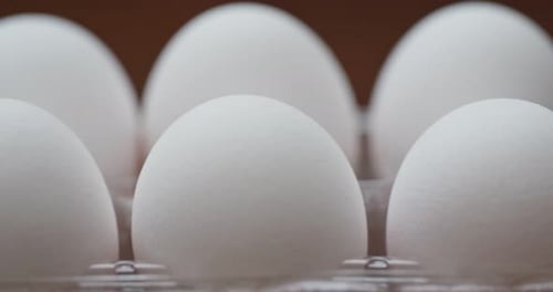 Fresh White Eggs in Plastic Container Close-Up