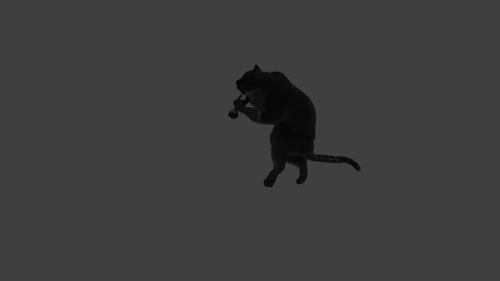 Realistic 3D Black Panther Leaping Animation Loop