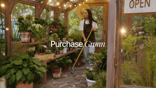Website Promo