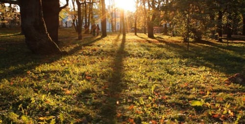 Pôr do sol em um parque no outono - 02