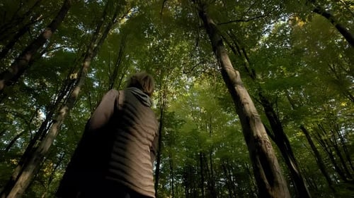Wide View of Young Woman Walking Through Tall Trees in Forest