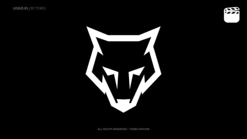 Logo Animation