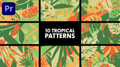 Tropical Patterns