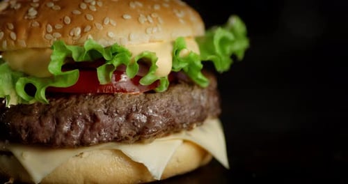 Close Up of Delicious Hamburger with Fresh Ingredients