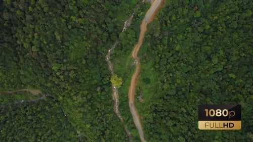 AH - Forest And Road V7