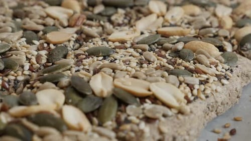 Close-Up of Seed Cracker with Various Seeds