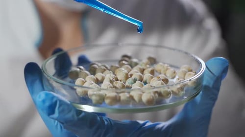 A Female Scientist Works in a Modern Laboratory