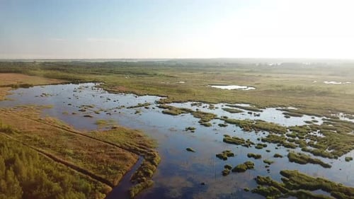 Swamp Near The Village Of Sverdlovo 02