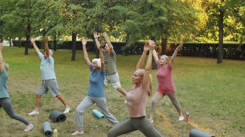 Mixed Age Group Practicing Yoga Outdoors in Park