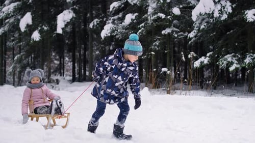 Wideo of boy pulling sledge with little sister in snow. Shot with RED helium camera in 8K.