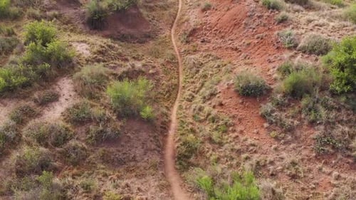 Drone Fly Over of a Trail on a Sunny Day