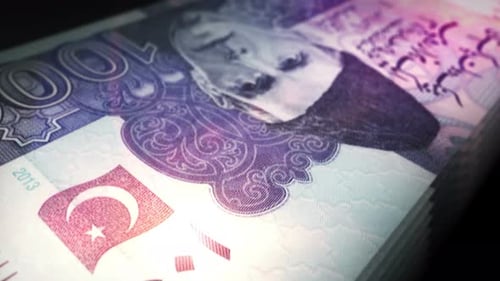 Pakistani rupee money counting seamless loop