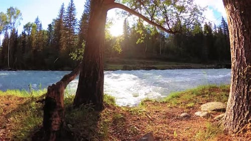 Meadow at Mountain River Bank