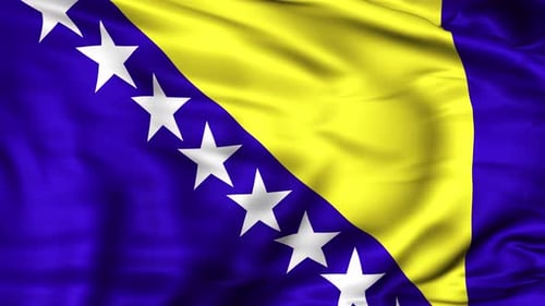 Bosnia and Herzegovina Flag