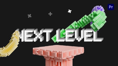 Vibrant Voxel Promo-Einführung